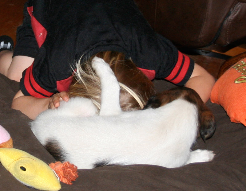 Surf Spots - Girl 1 Playing